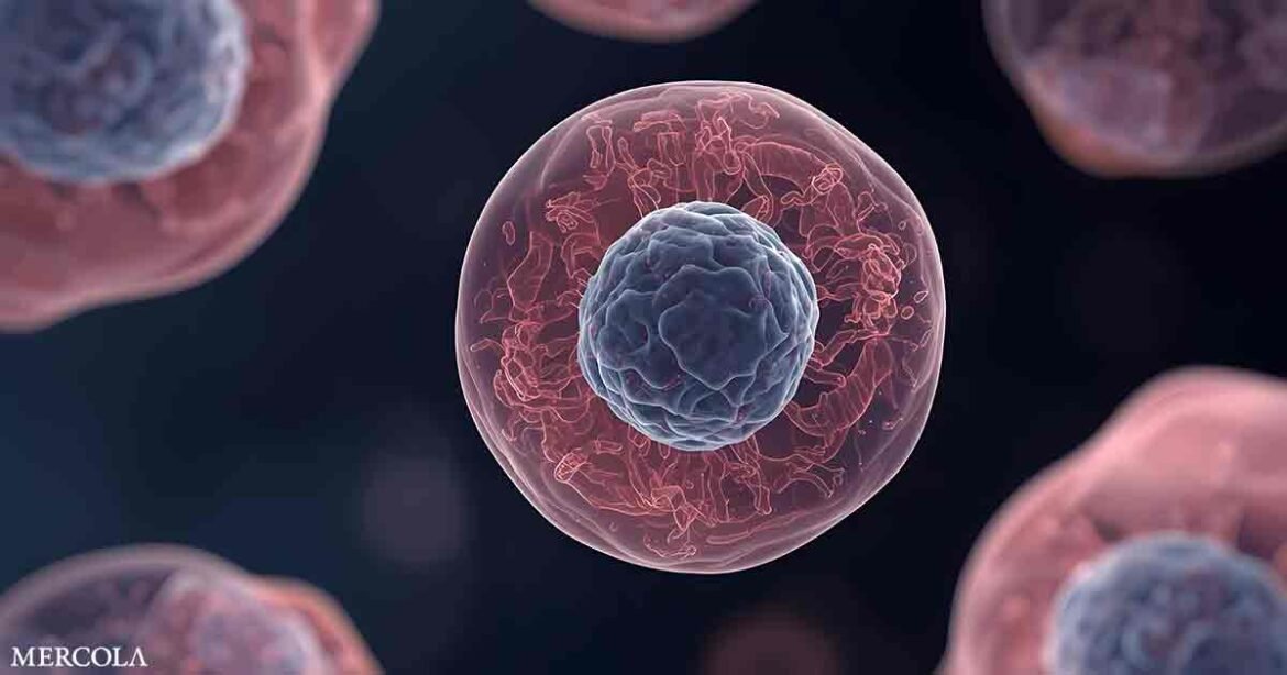 Stabilizing Cell Membranes to Mitigate Cancer Risk
