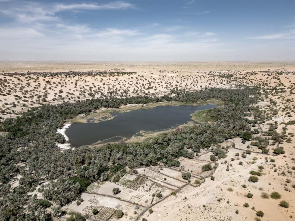 Striking photos show how sands are encroaching on oases in the Sahara