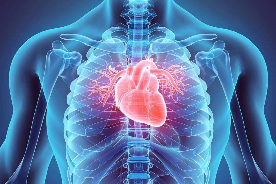 Your Diet Could Be Missing the Key Ingredient for Heart Protection