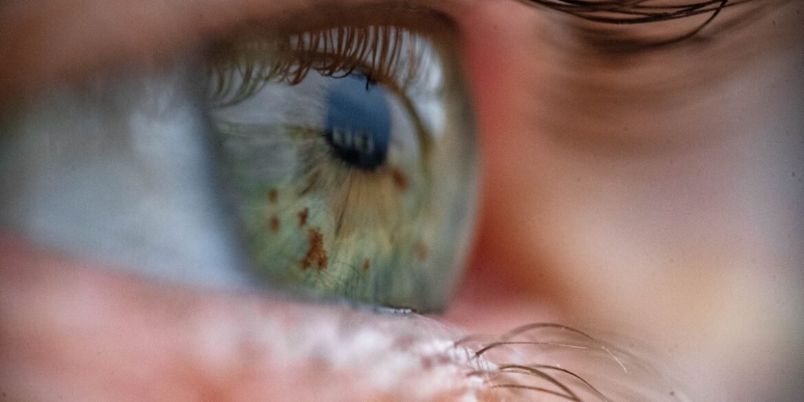 A device that revives eyeballs from dead donors could make eye transplants possible