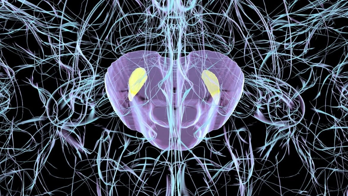Common Virus Can Trigger Parkinson's-Like Brain Damage in Mice : ScienceAlert