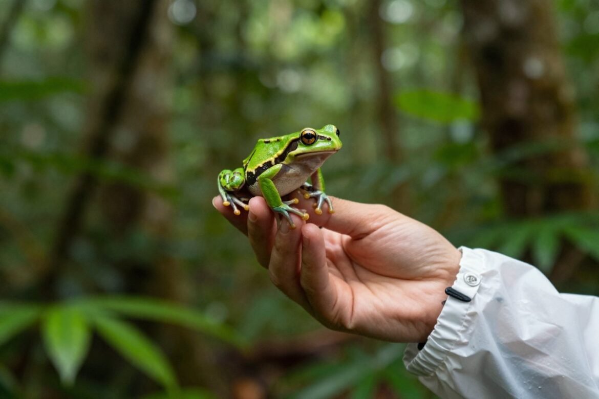 Meet the New Species Discovered in 2025: From Deep-Sea Oddities to Mini Frogs